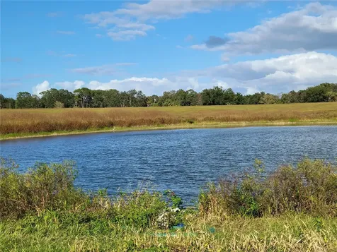 SE 74th Lane Road Ocklawaha FL 32179
