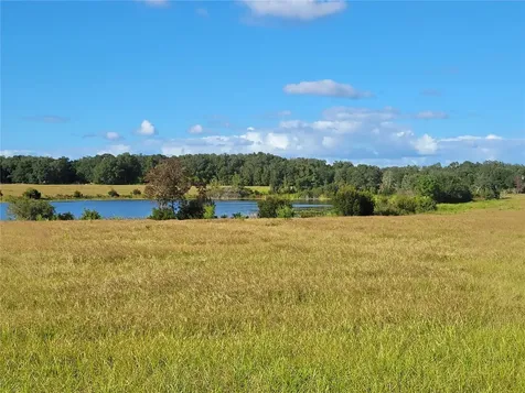 SE 74th Lane Road Ocklawaha FL 32179