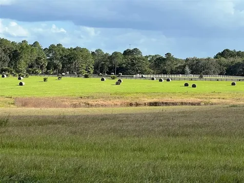 SE 74th Lane Road Ocklawaha FL 32179