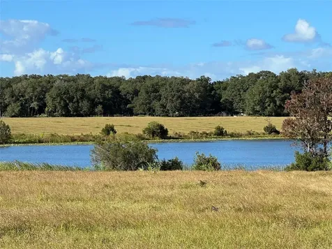 SE 74th Lane Road Ocklawaha FL 32179