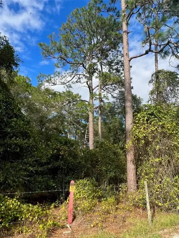 SE 74th Lane Road Ocklawaha FL 32179