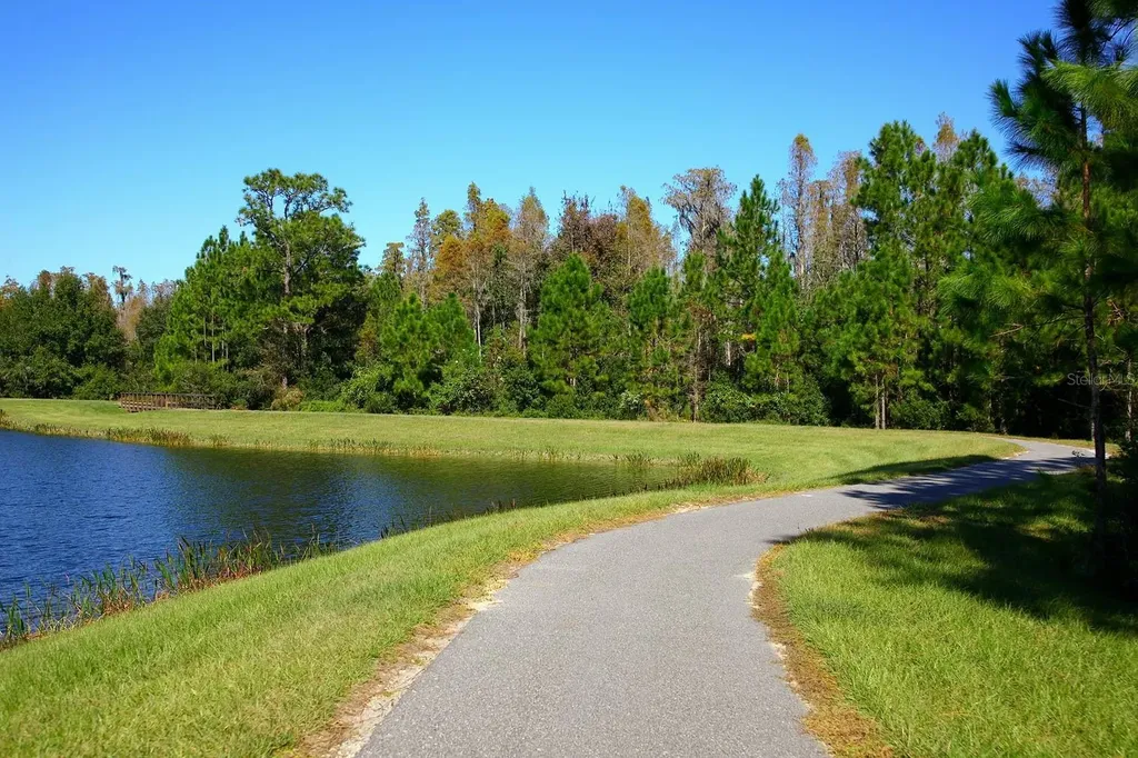 22075 Blazing Star Run Land O Lakes FL 34637