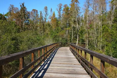 22075 Blazing Star Run Land O Lakes FL 34637