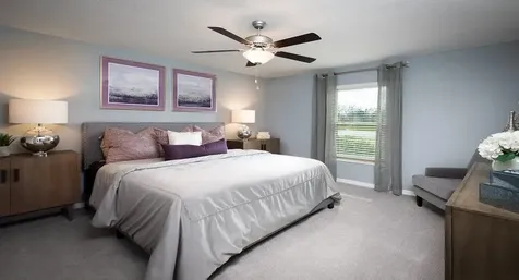 22075 Blazing Star Run Land O Lakes FL 34637
