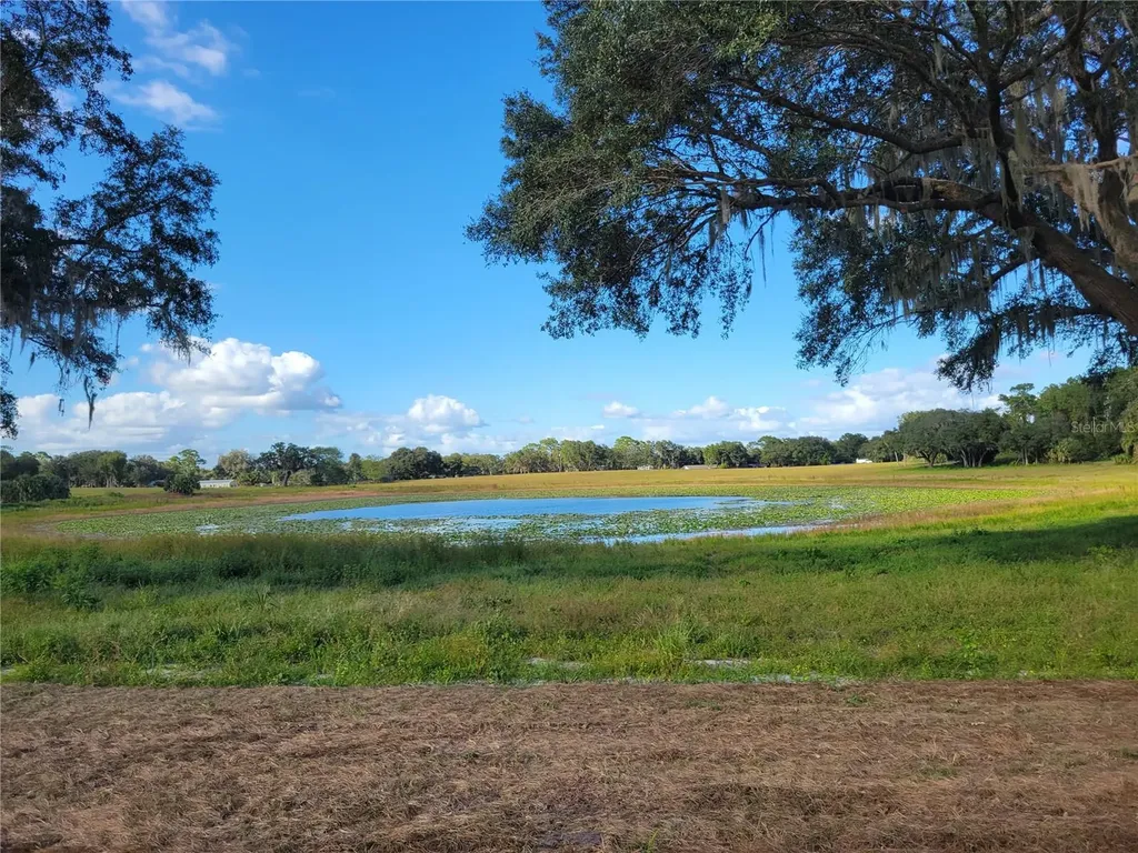 SE 74th Lane Road Ocklawaha FL 32179