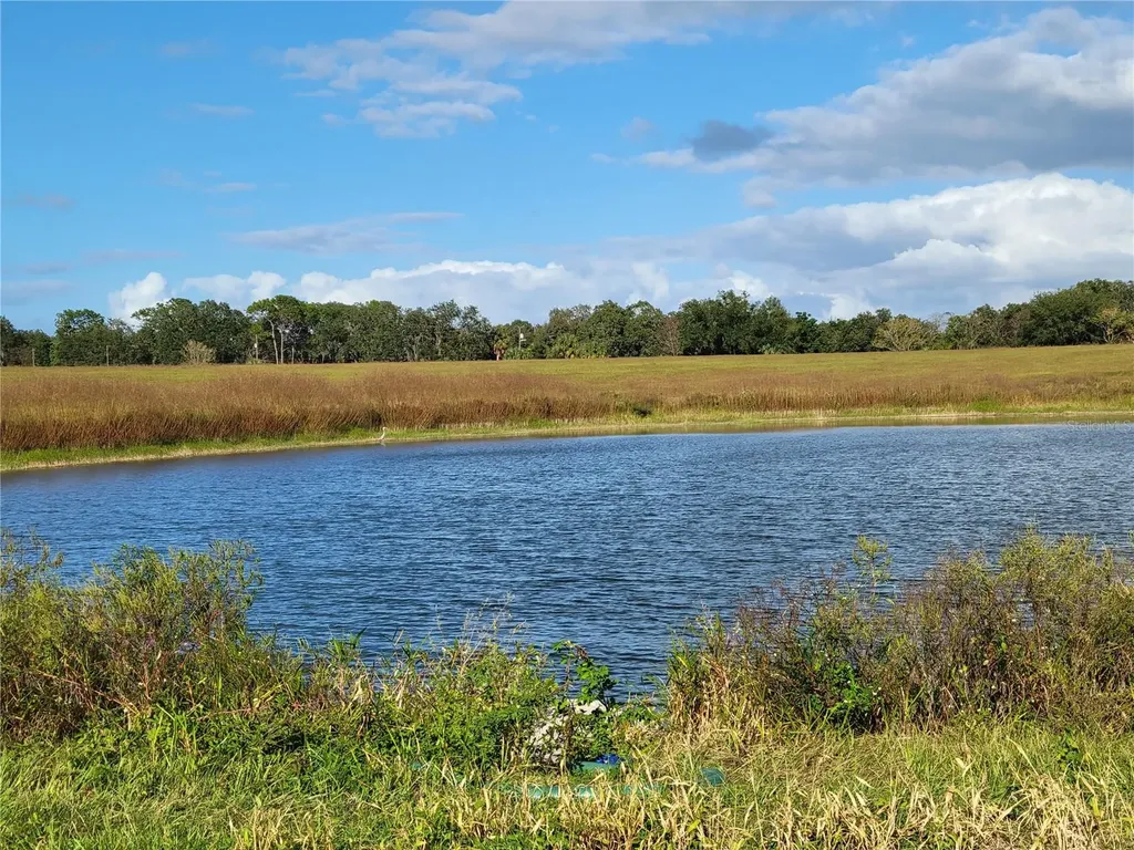 SE 74th Lane Road Ocklawaha FL 32179