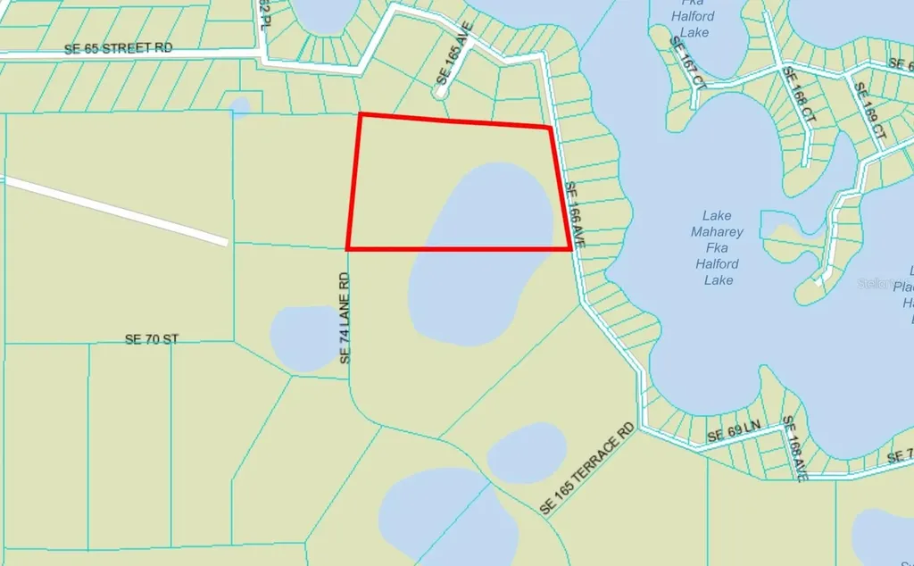 SE 74th Lane Road Ocklawaha FL 32179