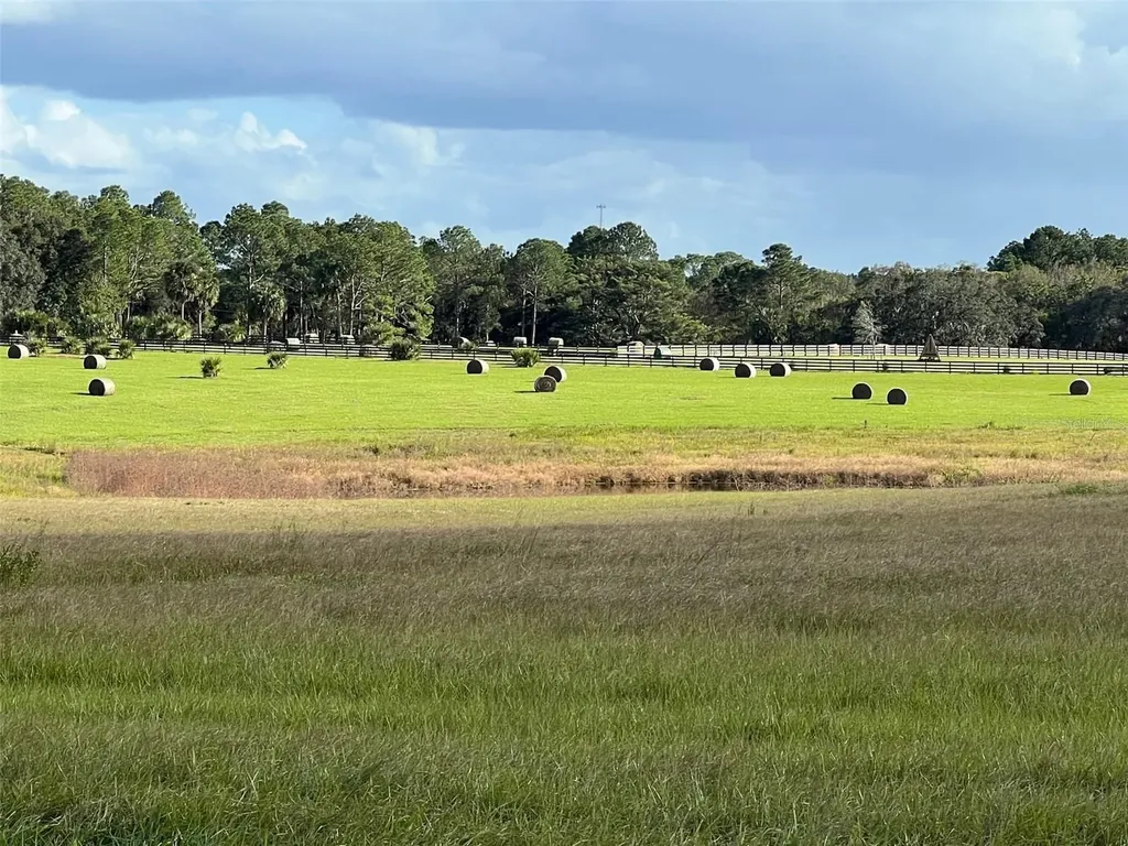 SE 74th Lane Road Ocklawaha FL 32179