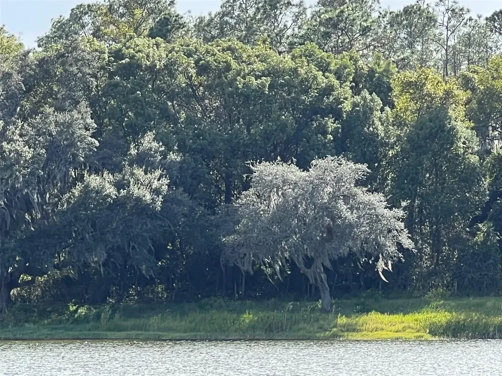 SE 74th Lane Road Ocklawaha FL 32179