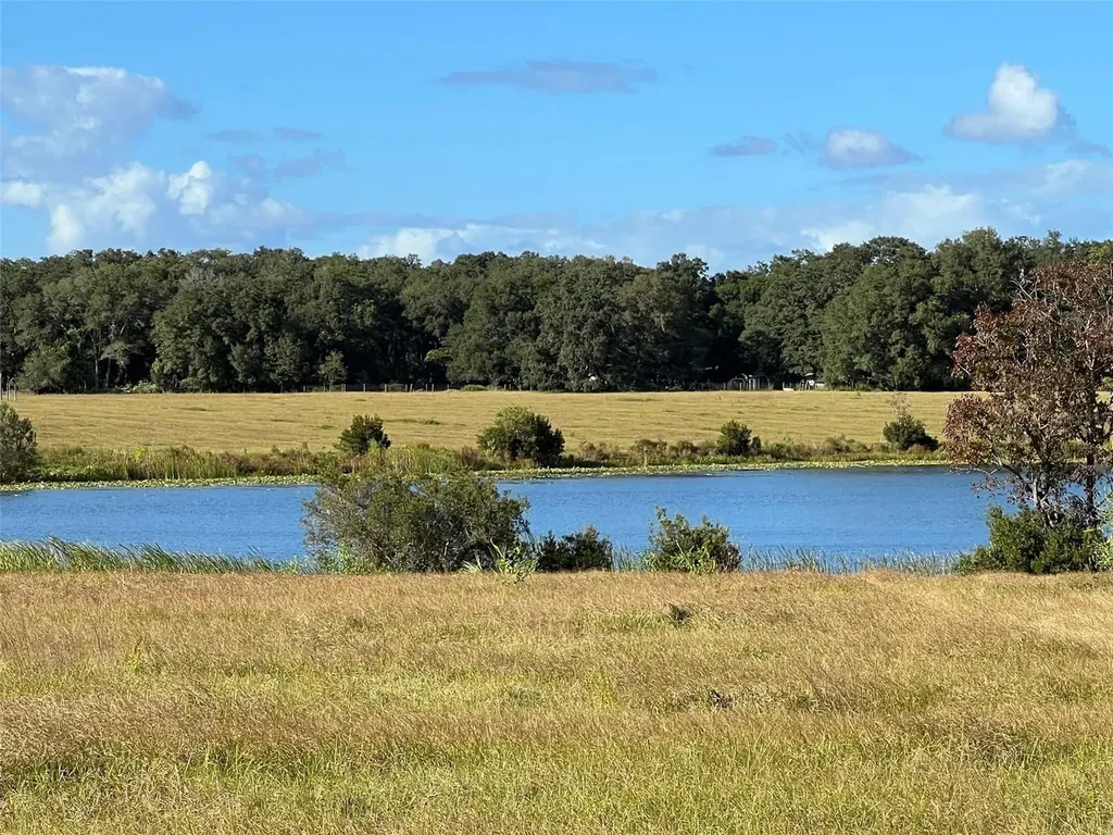 SE 74th Lane Road Ocklawaha FL 32179