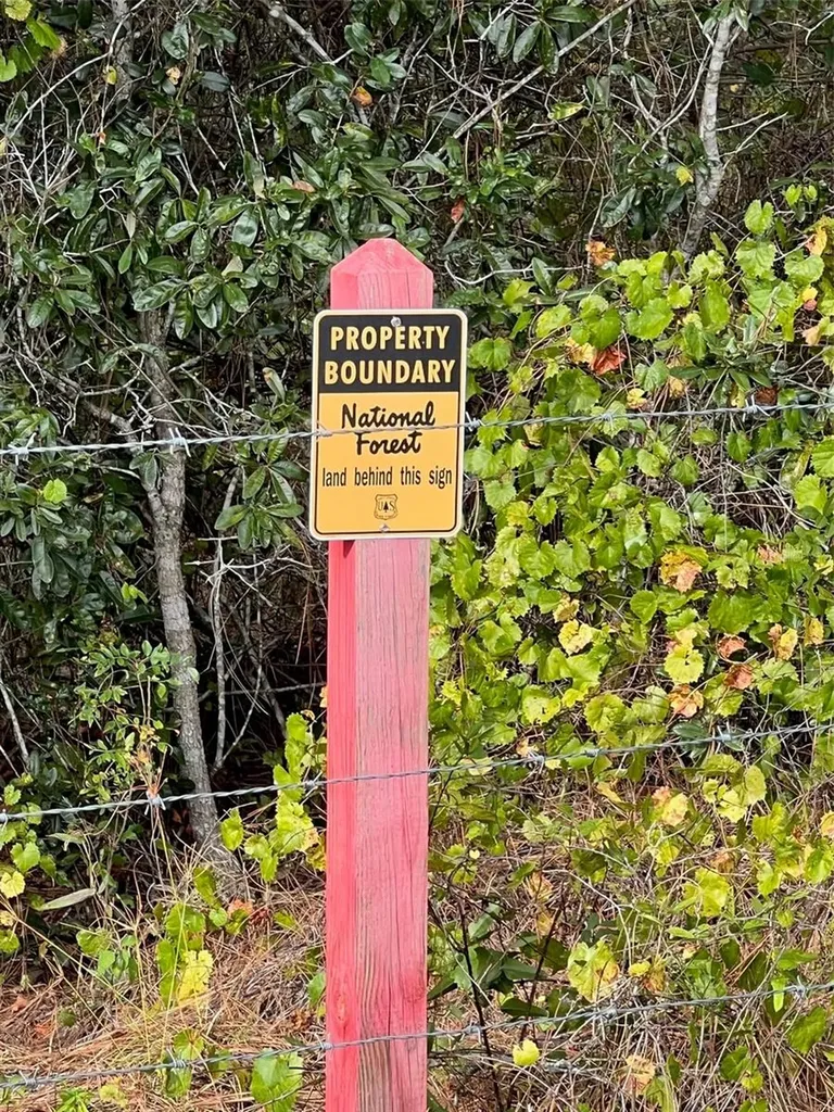 SE 74th Lane Road Ocklawaha FL 32179