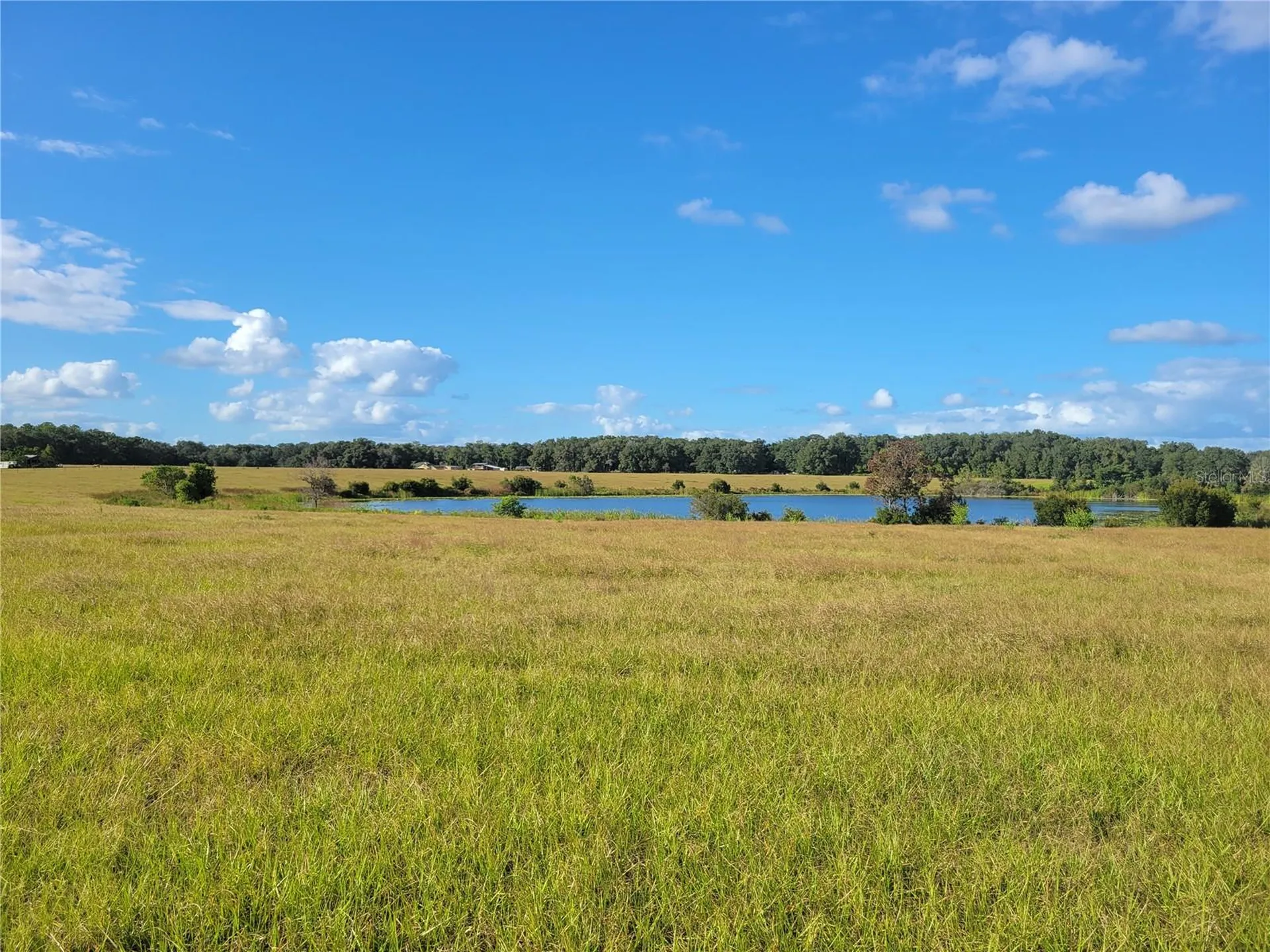 SE 74th Lane Road Ocklawaha FL 32179
