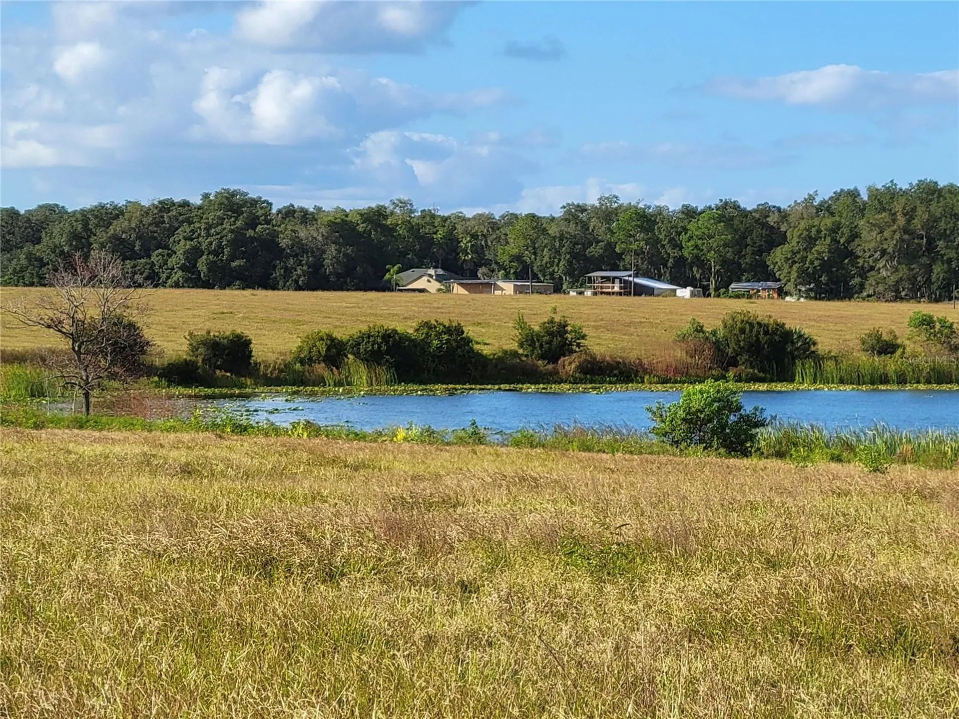 SE 74th Lane Road Ocklawaha FL 32179