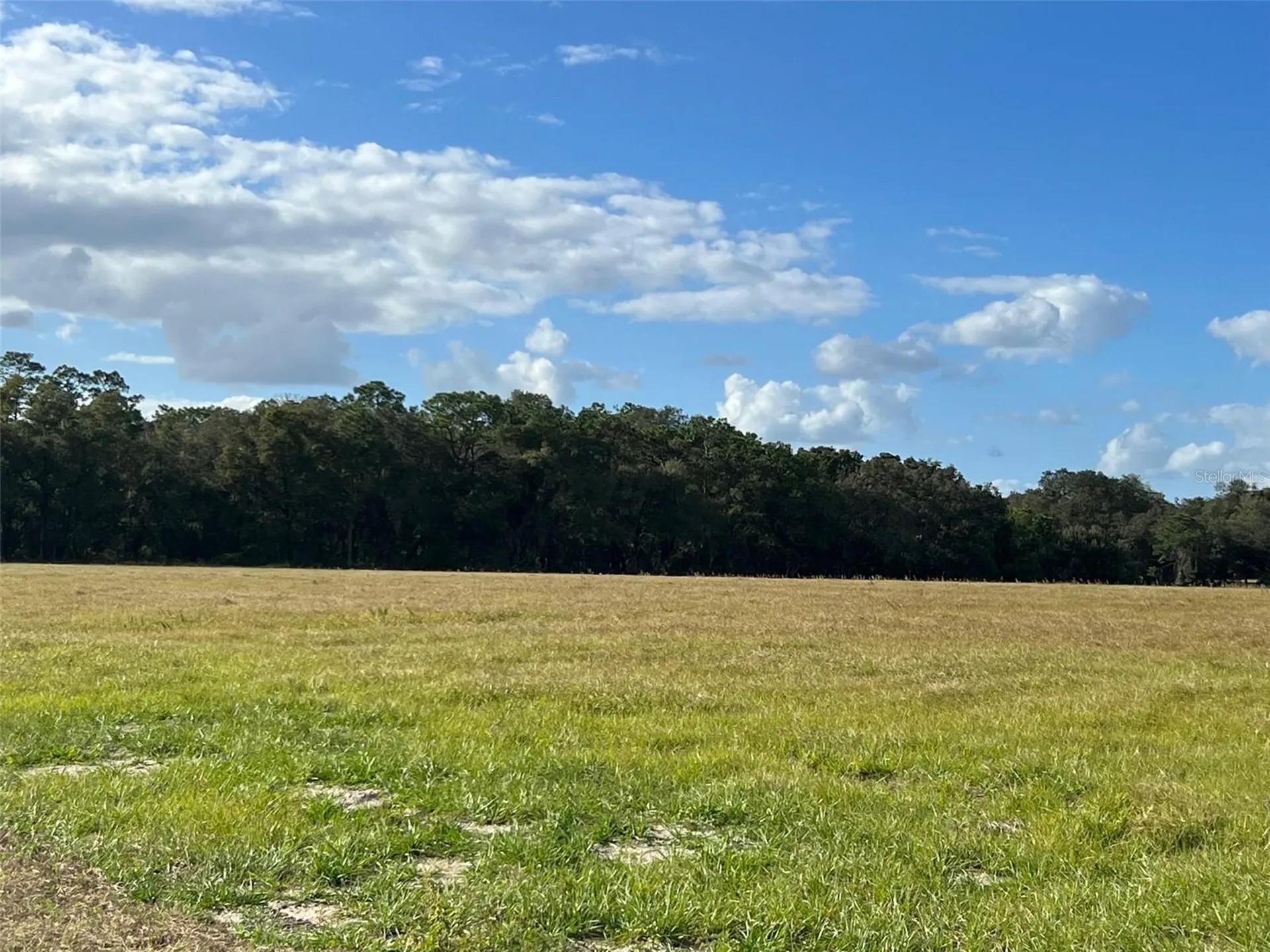 SE 74th Lane Road Ocklawaha FL 32179