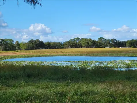 SE 74th Lane Road Ocklawaha FL 32179