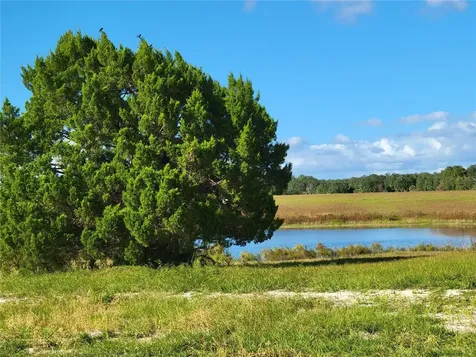SE 74th Lane Road Ocklawaha FL 32179