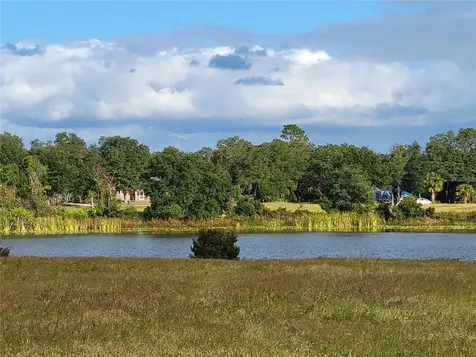 SE 74th Lane Road Ocklawaha FL 32179