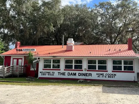 SE 74th Lane Road Ocklawaha FL 32179