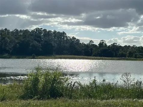 SE 74th Lane Road Ocklawaha FL 32179