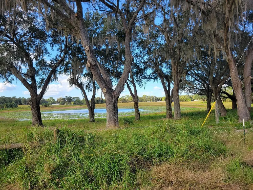 SE 74th Lane Road Ocklawaha FL 32179
