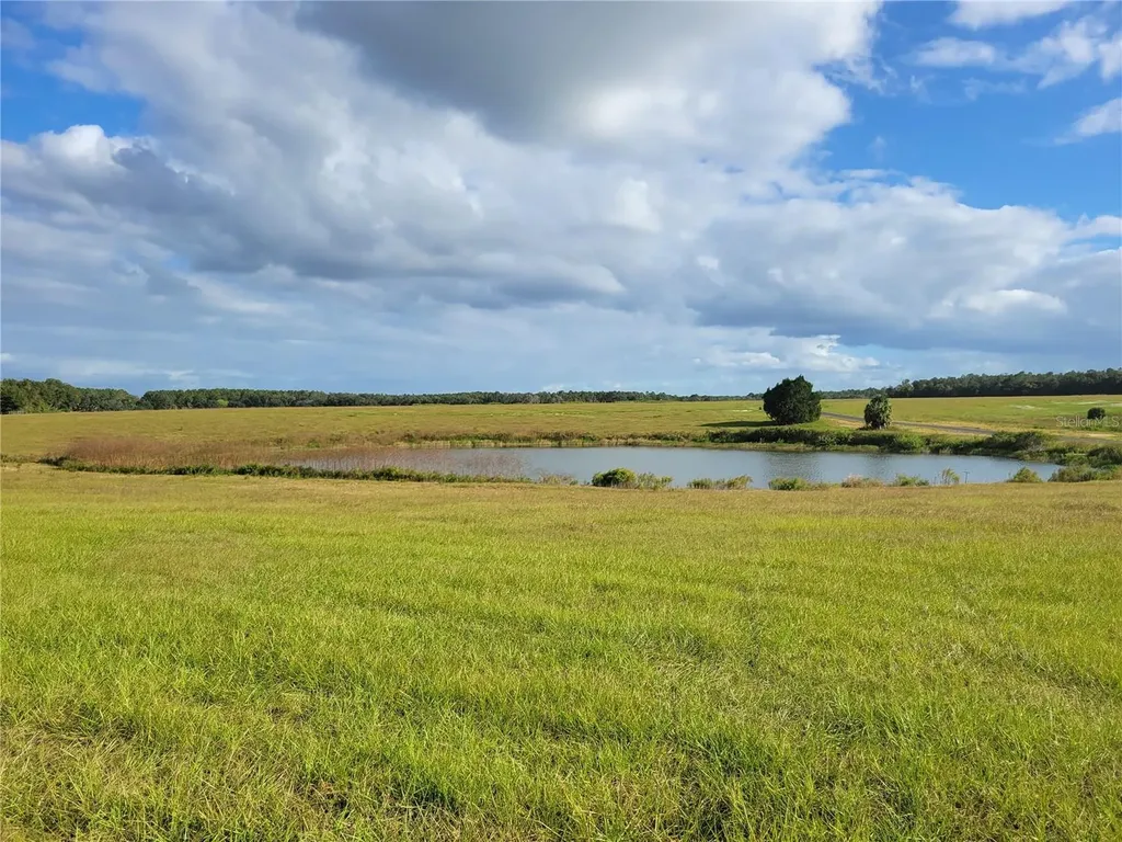 SE 74th Lane Road Ocklawaha FL 32179