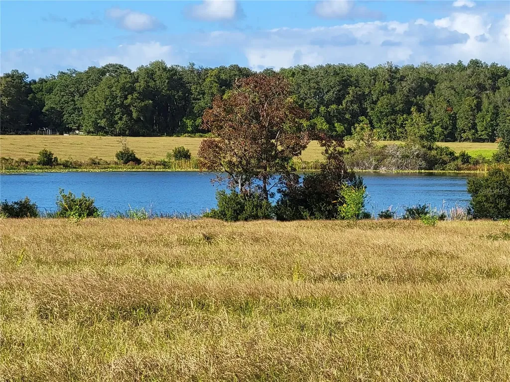 SE 74th Lane Road Ocklawaha FL 32179