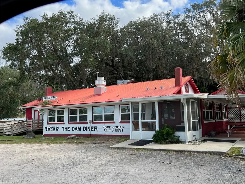 SE 74th Lane Road Ocklawaha FL 32179