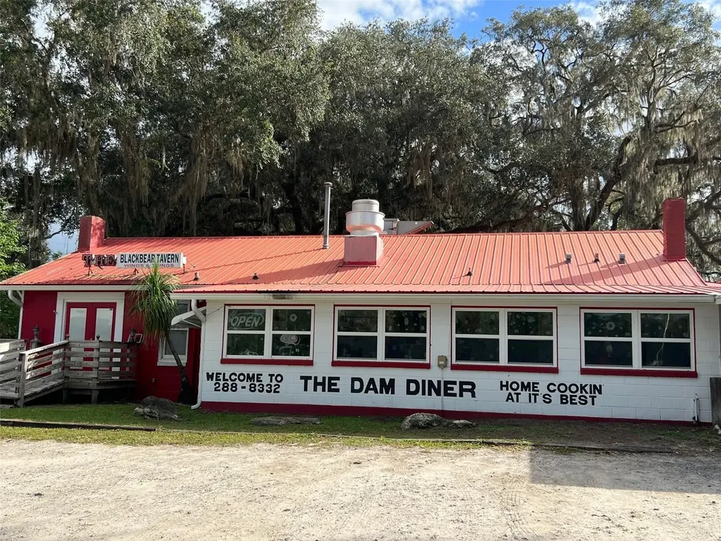 SE 74th Lane Road Ocklawaha FL 32179