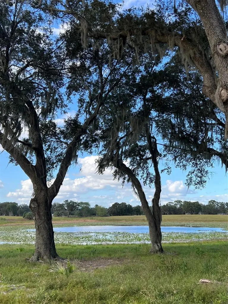 SE 74th Lane Road Ocklawaha FL 32179