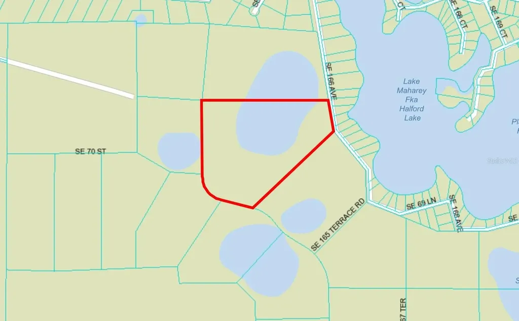 SE 74th Lane Road Ocklawaha FL 32179