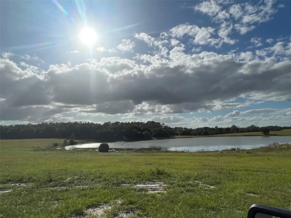 SE 74th Lane Road Ocklawaha FL 32179