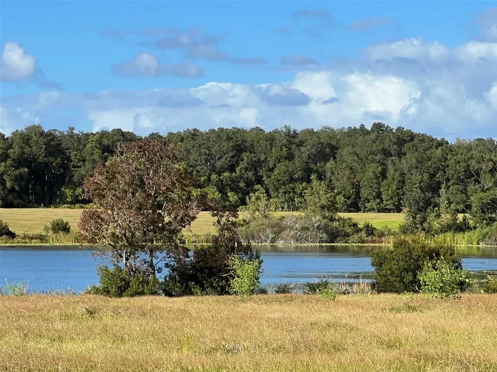 SE 74th Lane Road Ocklawaha FL 32179