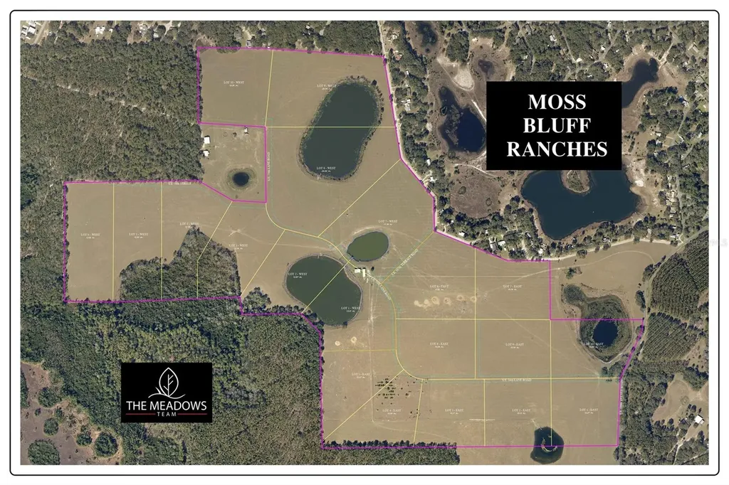 SE 74th Lane Road Ocklawaha FL 32179