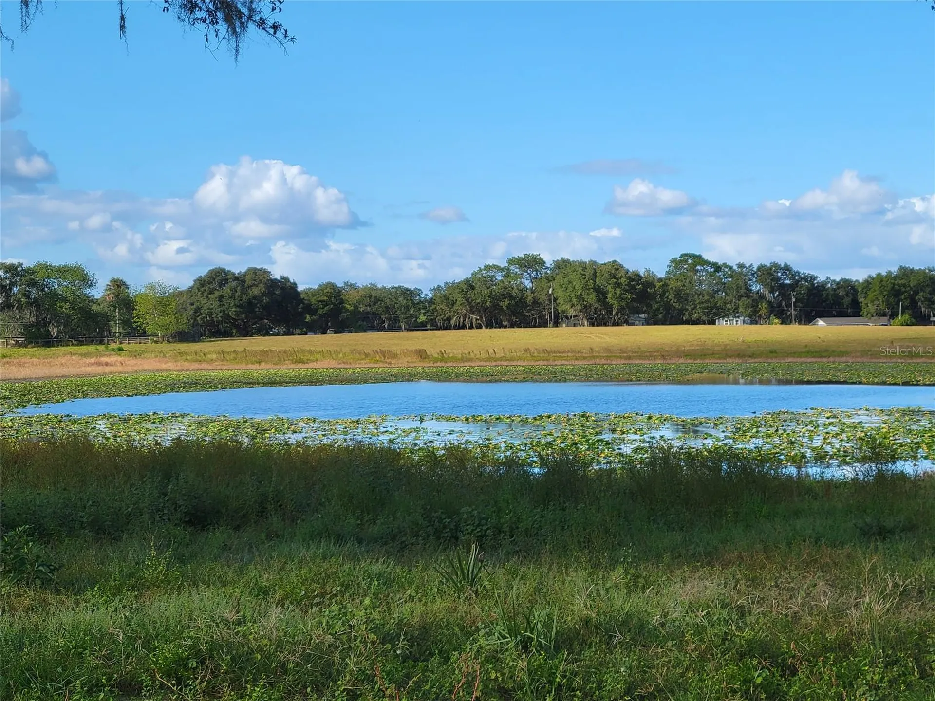 SE 74th Lane Road Ocklawaha FL 32179