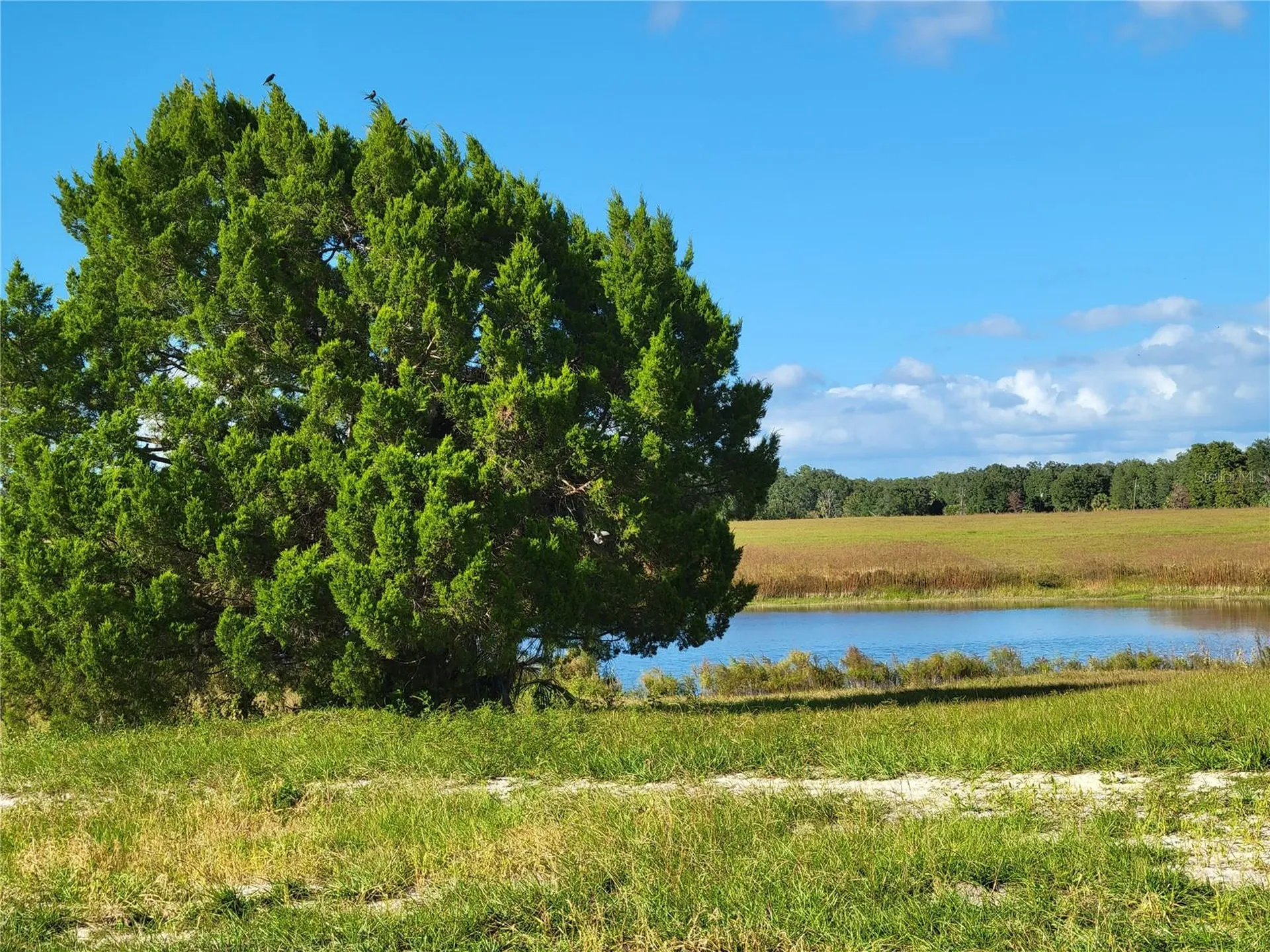 SE 74th Lane Road Ocklawaha FL 32179