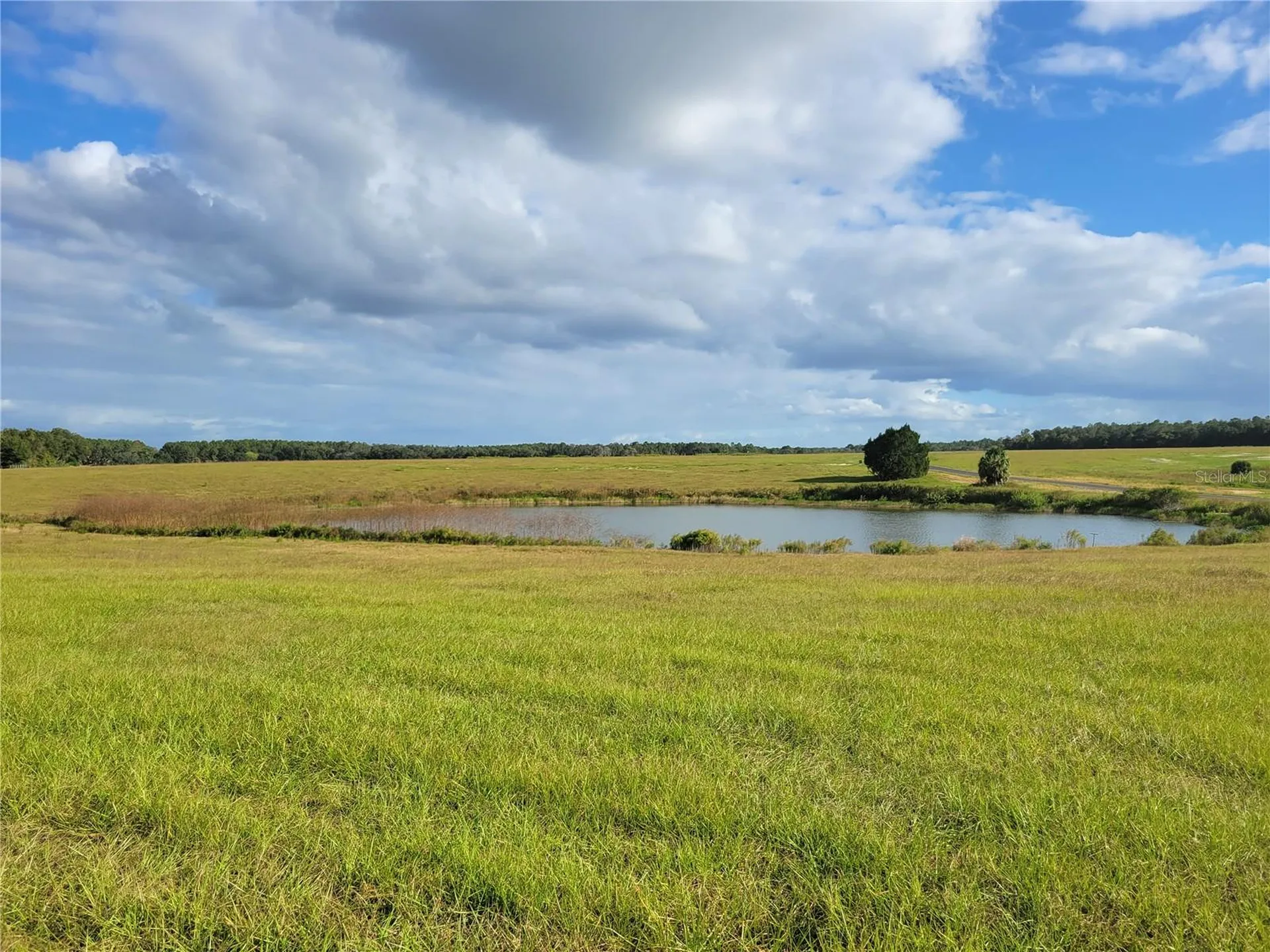 SE 74th Lane Road Ocklawaha FL 32179