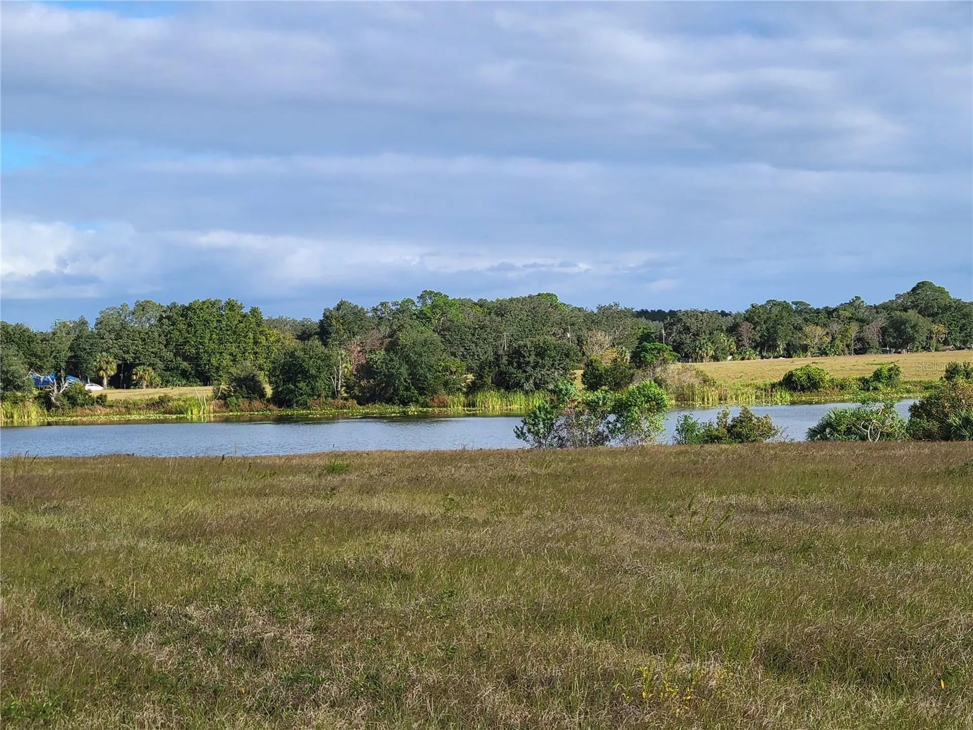 SE 74th Lane Road Ocklawaha FL 32179