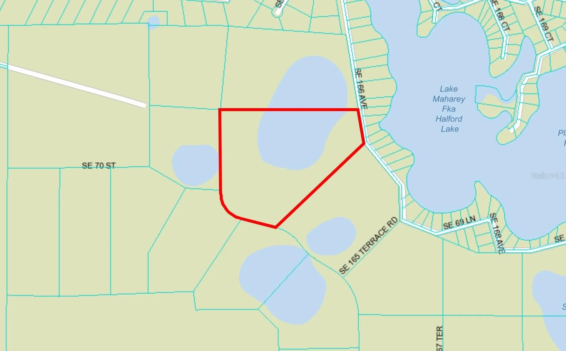 SE 74th Lane Road Ocklawaha FL 32179