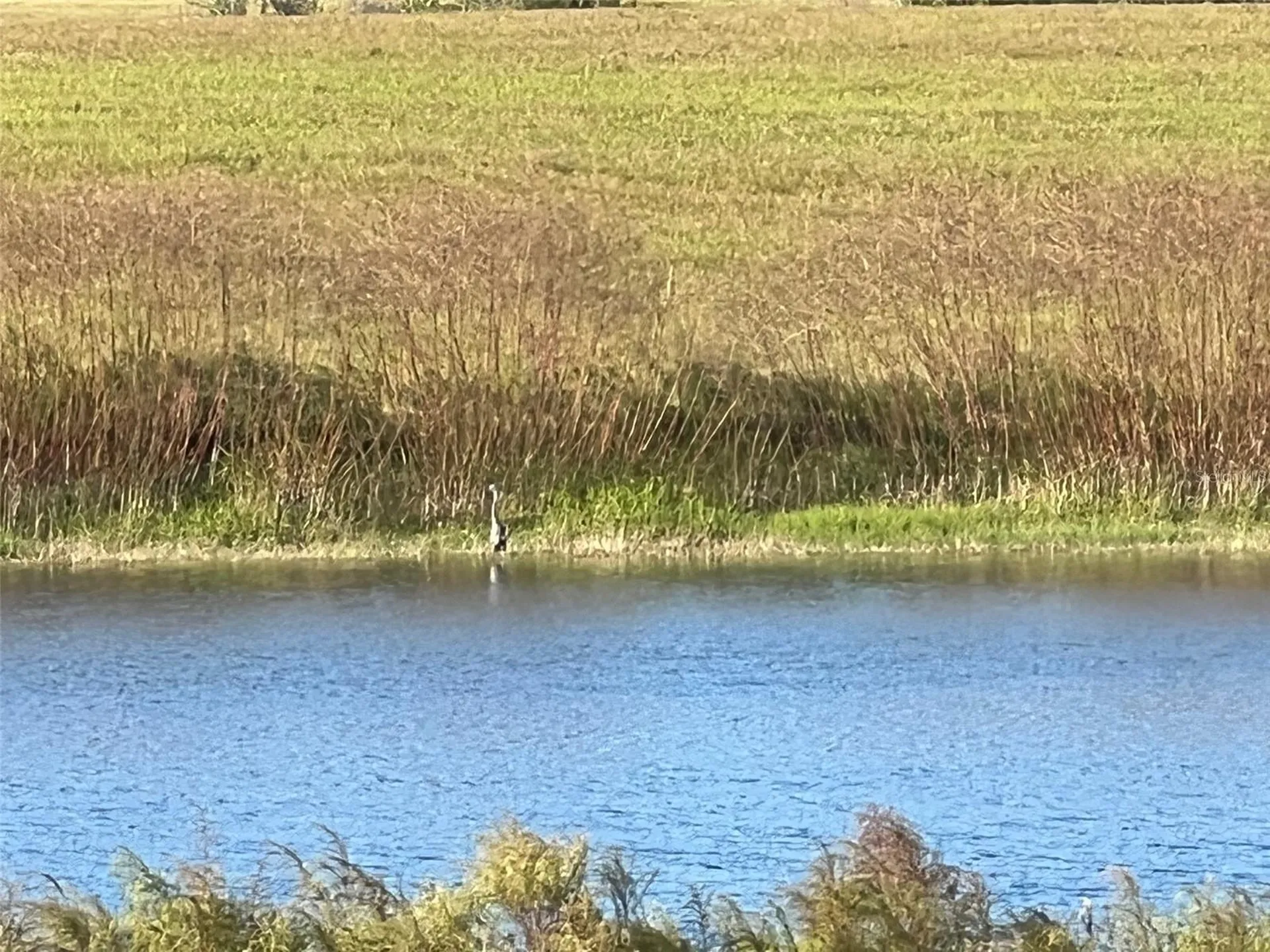 SE 74th Lane Road Ocklawaha FL 32179