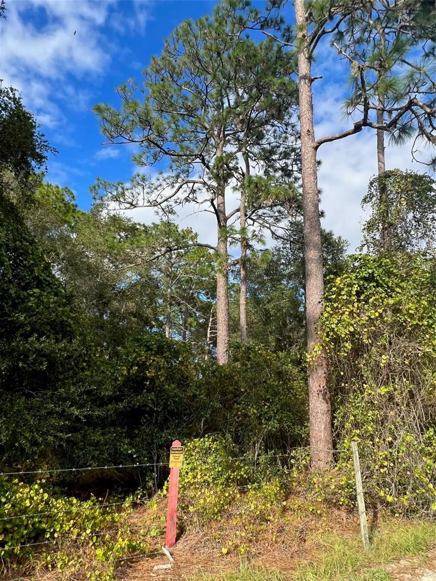 SE 74th Lane Road Ocklawaha FL 32179