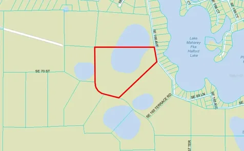 SE 74th Lane Road Ocklawaha FL 32179