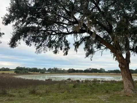 SE 74th Lane Road Ocklawaha FL 32179