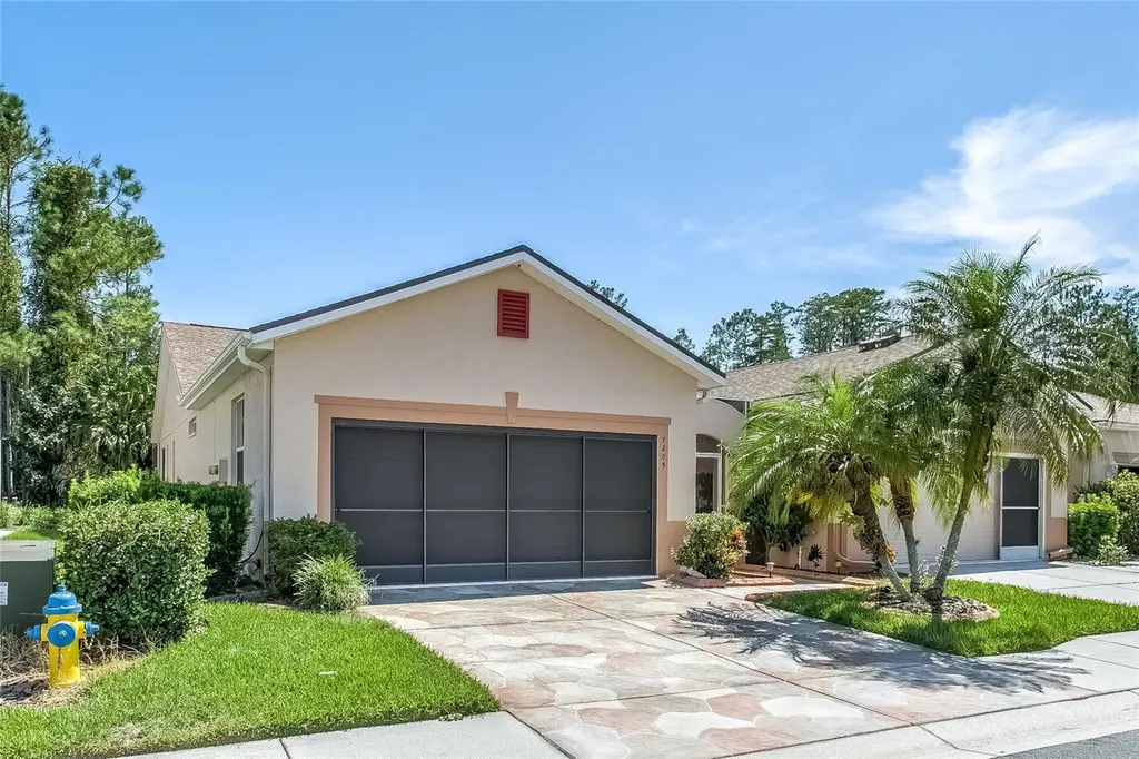 7205 Cleopatra Drive Land O Lakes FL 34637