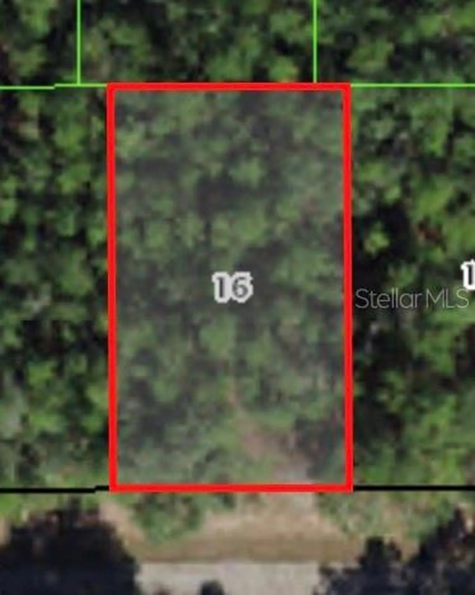 368 E Mc Faddin Place Citrus Springs FL 34434