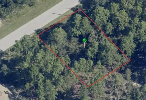 816 W Smallman Place Citrus Springs FL 34434