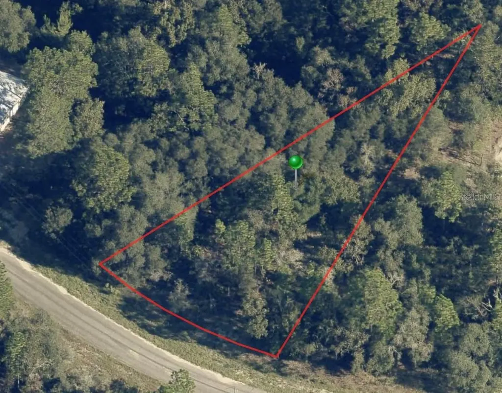 6956 N Lime Drive Citrus Springs FL 34433