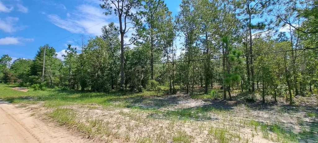 216 Highland Drive Hawthorne FL 32640