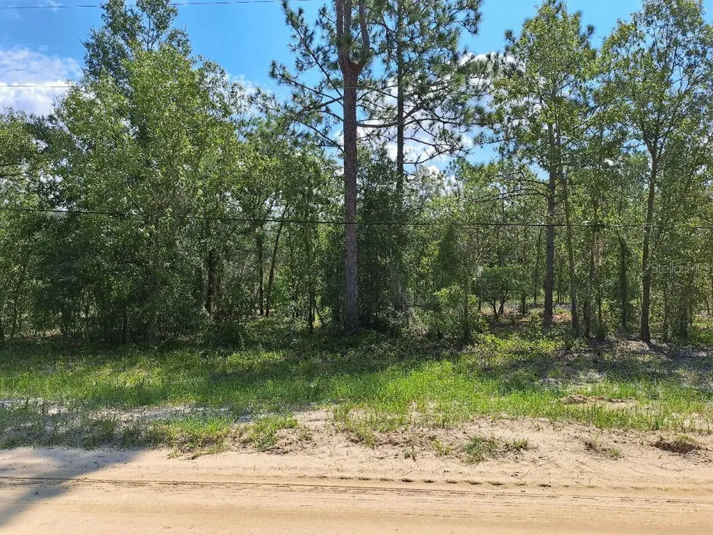 216 Highland Drive Hawthorne FL 32640