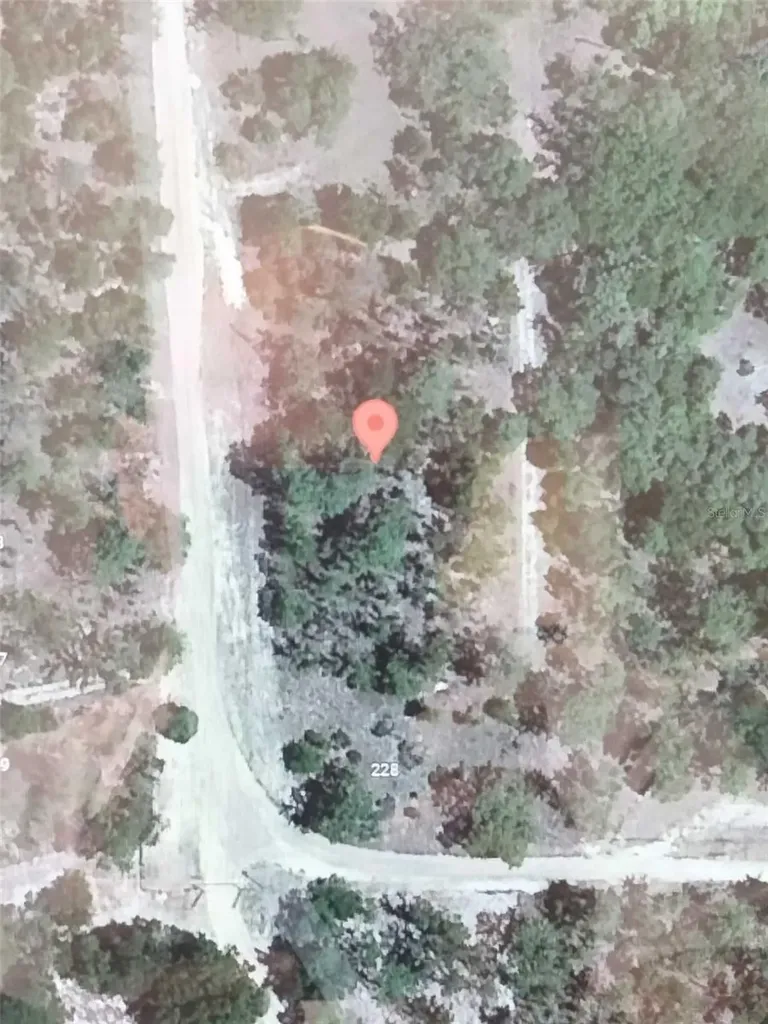 216 Highland Drive Hawthorne FL 32640