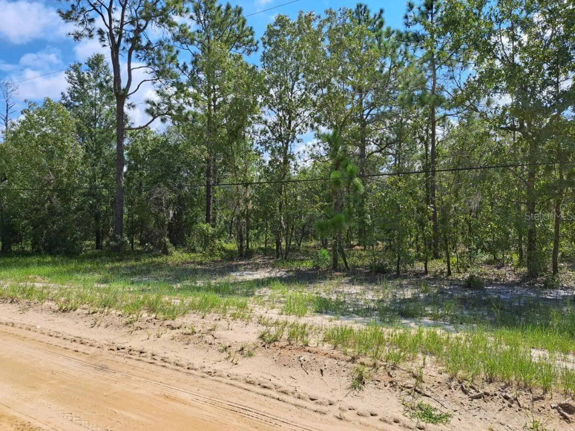 216 Highland Drive Hawthorne FL 32640